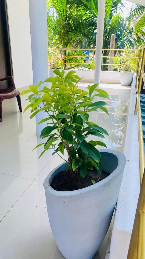 Lali Beach Villa Trikunamalaja Zewnętrze zdjęcie